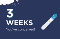 3 Weeks Pregnant: Conception!