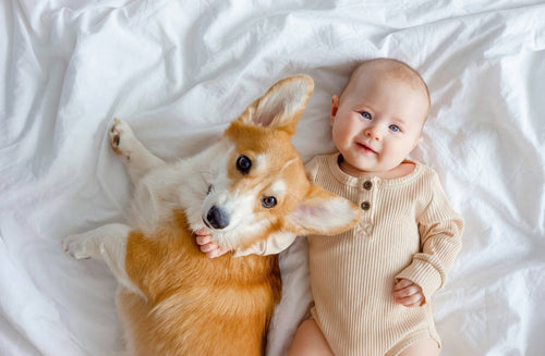 40+ Welsh Baby Names for Girls and Boys