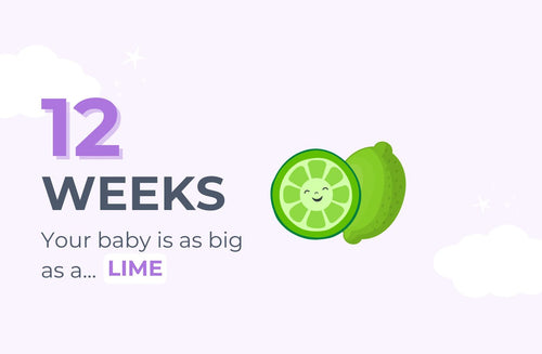 12 Weeks Pregnant: On Your Way to the First Trimester Finish Line