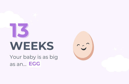 13 Weeks Pregnant: Are You ‘Showing’ Yet?