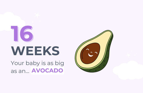 16 Weeks Pregnant: Did You Feel That?