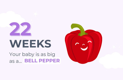 22 Weeks Pregnant: Have You Popped Yet?
