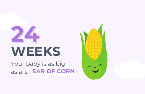 24 Weeks Pregnant: Sexy Dreams, Strange Dreams