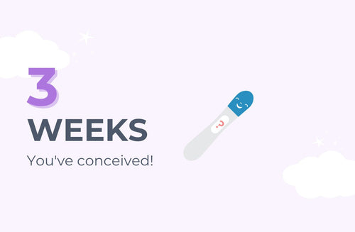 3 Weeks Pregnant: Conception!