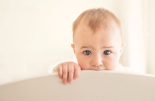 How to Stop Your Toddler's Biting Habit