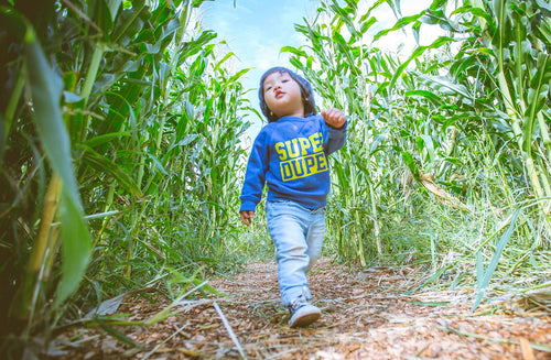 Public Pressure Works: California Bans a Harmful Pesticide