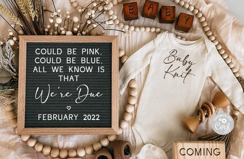 15 Winter Pregnancy Announcement Ideas