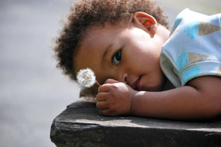 Baby looking at a dandelion