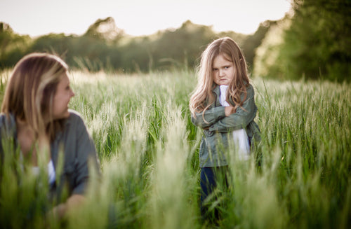 How to Deal With Parent-Toddler Temperament Clashes