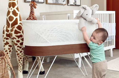 10 Adorable Elephant Nursery Ideas