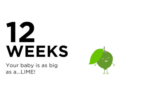 12 Weeks Pregnant: On Your Way to the First Trimester Finish Line