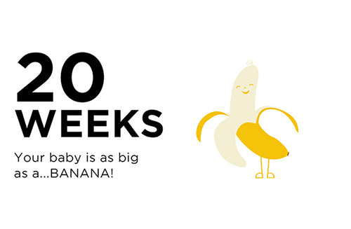 20 Weeks Pregnant: You’re Halfway There!