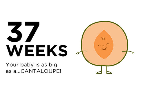 37 Weeks Pregnant: The Countdown Begins