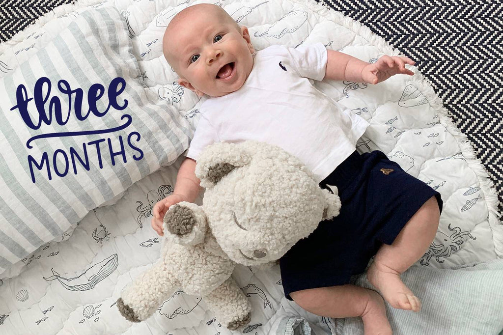 21 Unique Ideas for Monthly Baby Pictures – Happiest Baby