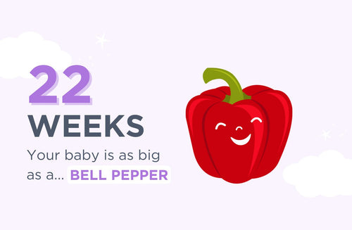 22 Weeks Pregnant: Have You Popped Yet?