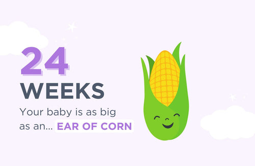 24 Weeks Pregnant: Sexy Dreams, Strange Dreams
