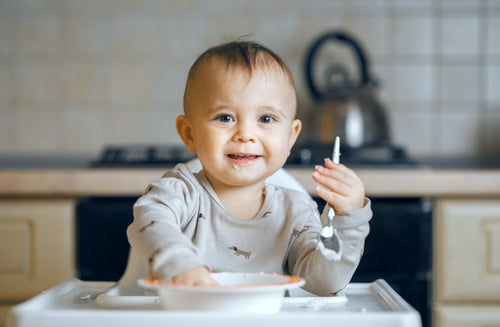 9 Yummy Breakfast Ideas for Babies