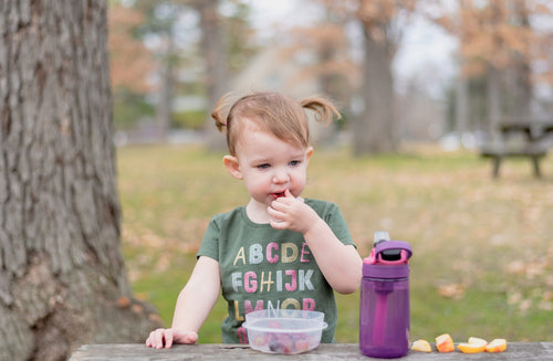 7 Diaper Bag Snacks for Healthy Munching on the Go
