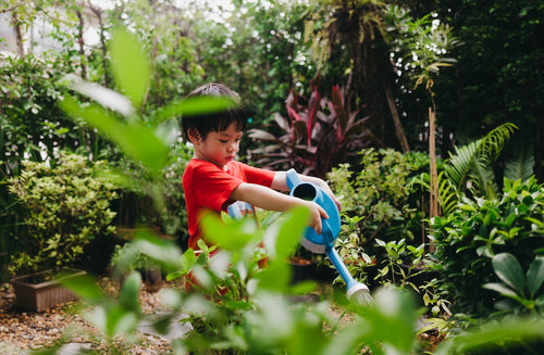 8 Ways to Start Gardening With Kids