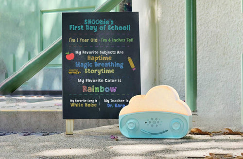 SNOObie: Your Child’s New Classroom Buddy!