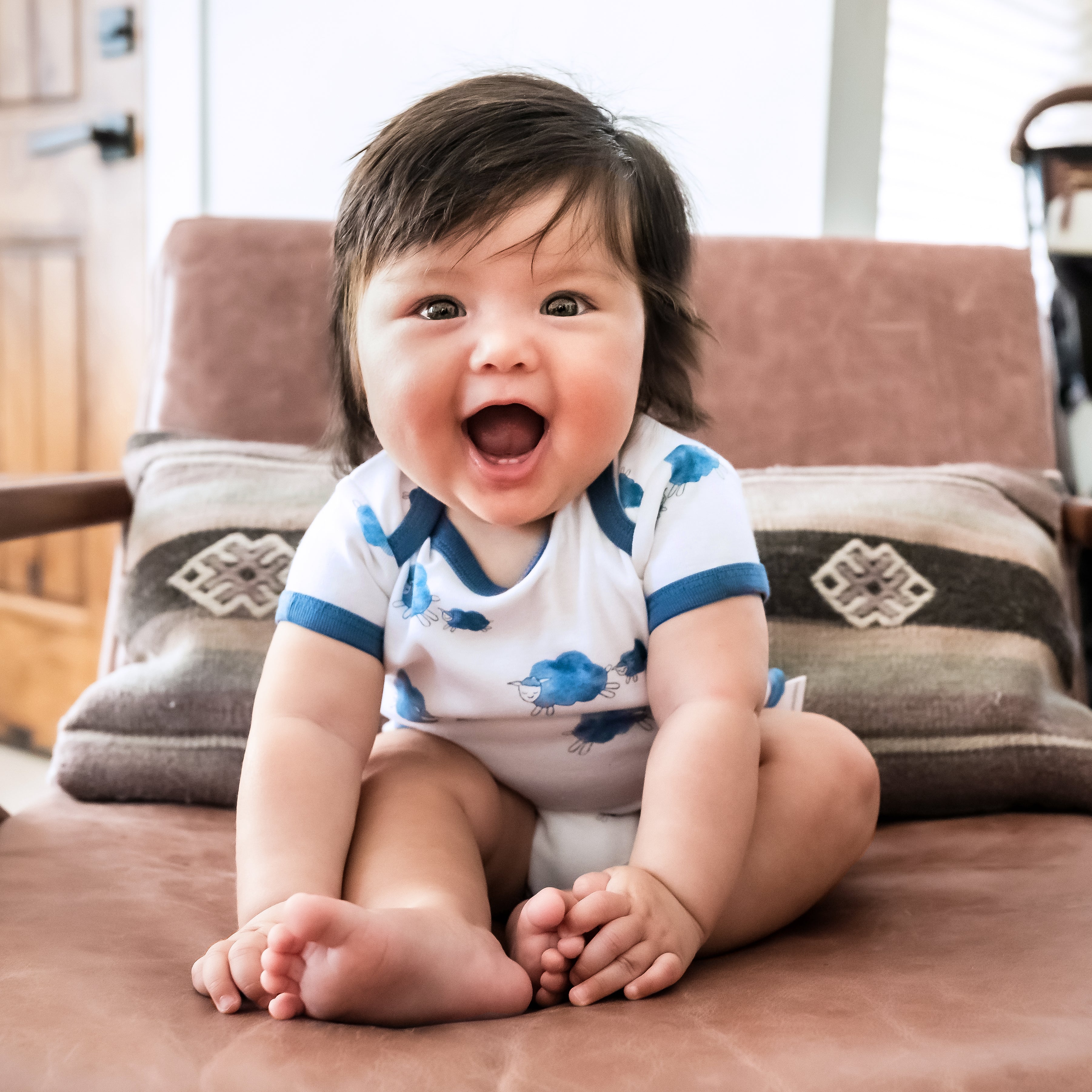 Happiest Baby, Section Image