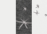 Color Ivory - Charcoal Galaxy - Ivory Galaxy